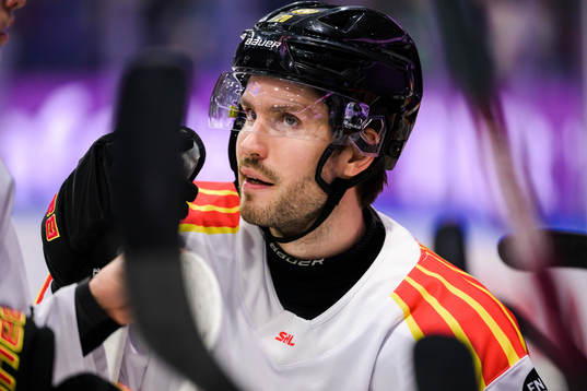 Brynäs Oula Palve
