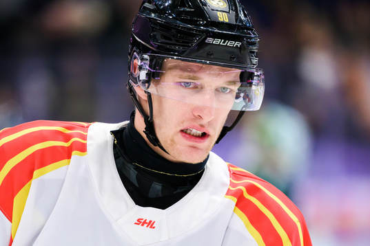 Brynäs David Sklenicka deppar