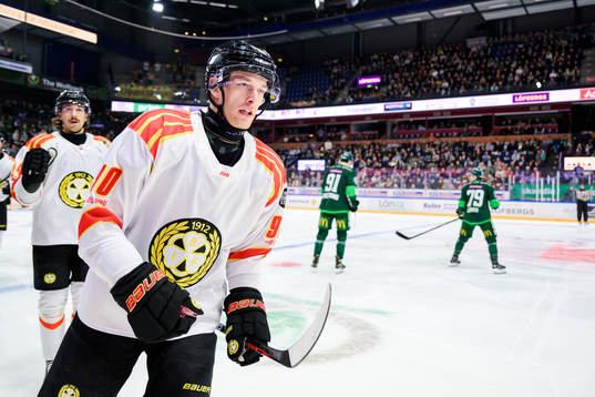 Brynäs David Sklenicka jublar