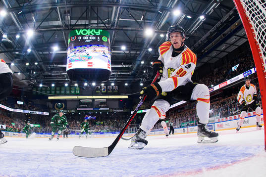 Brynäs David Sklenicka