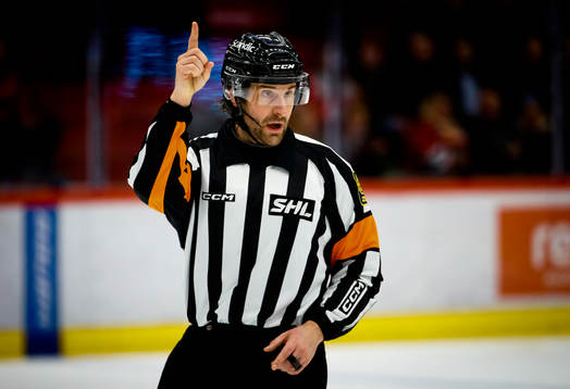 Domaren Mikael Sjöqvist