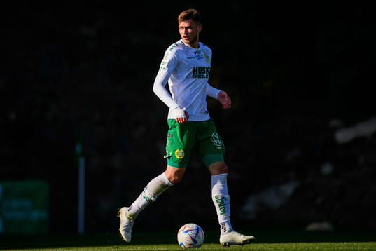 Ludvig Svanberg of Hammarby