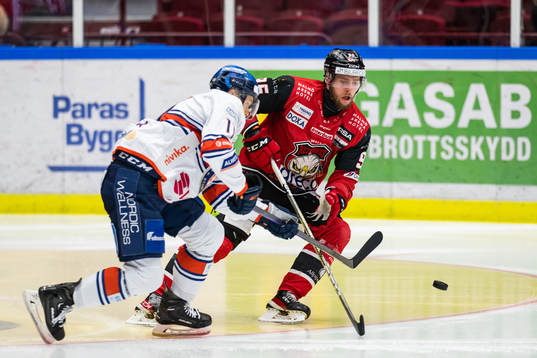 Malmö Redhawks Carl Persson