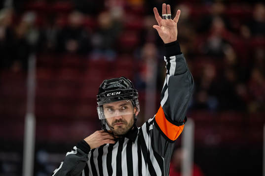 Domare Mattias Enroth