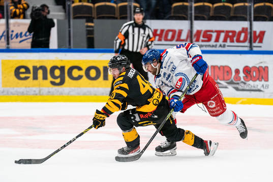 Skellefteås Andreas Wingerli och Oskarshamns David