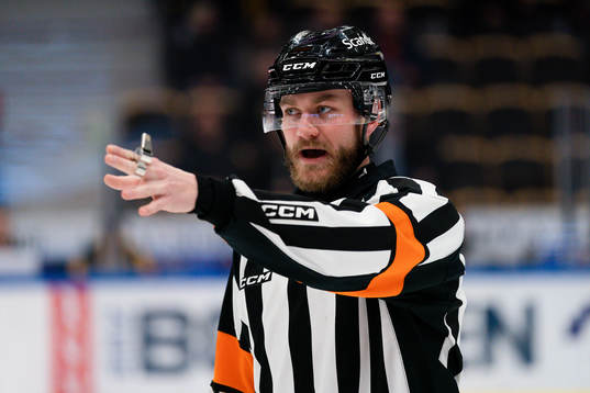 Domare Daniel Eriksson