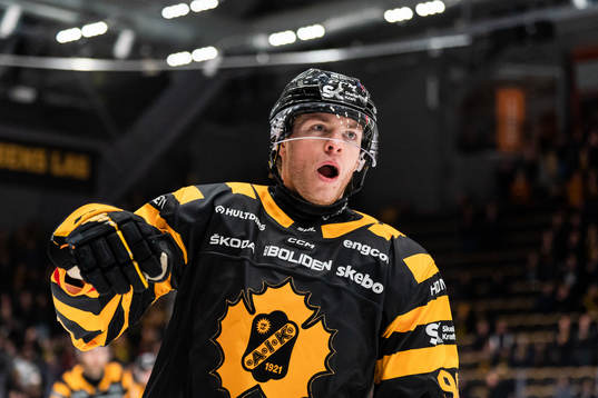 Skellefteås Rickard Hugg jublar