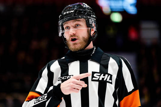 Domare Daniel Eriksson