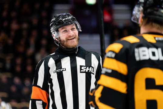 Domare Daniel Eriksson