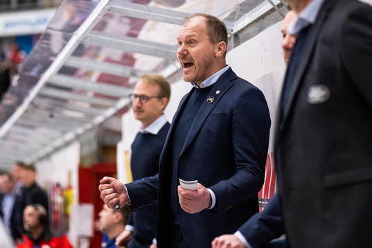 HV71s tränare Johan Lindbom jublar