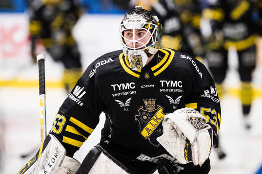 AIKs målvakt Claes Endre