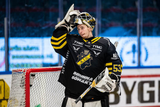 AIKs målvakt Claes Endre