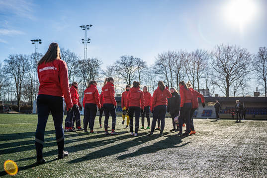 Helsingborgs spelare