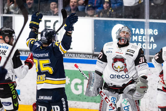 HV71s Radan Lenc jublar