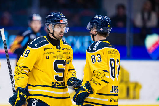 Södertäljes Linus Videll och Ludvig Jansson deppar