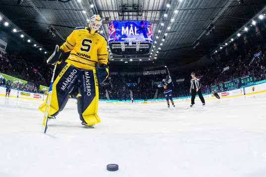 Södertäljes målvakt Nikita Tolopilo deppar