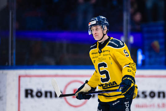 Södertäljes Leon Wallner deppar