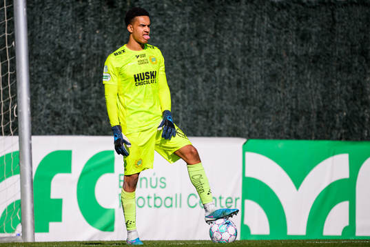 Goalkeeper Oliver Dovin of Hammarby