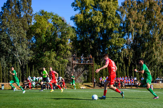 David Møller Wolfe of Brann