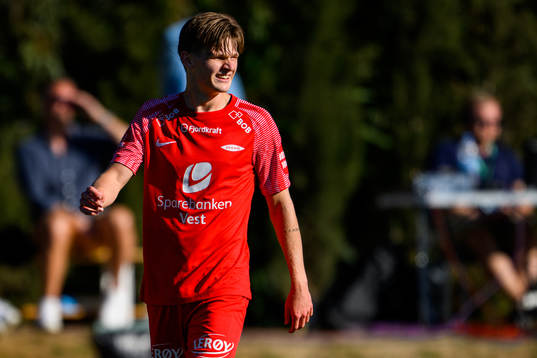 David Møller Wolfe of Brann