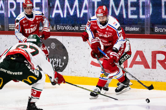 Timrås Robin Hanzl