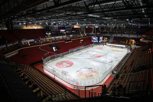 Monitor ERP Arena
