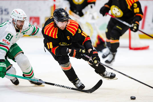Brynäs Anton Rödin