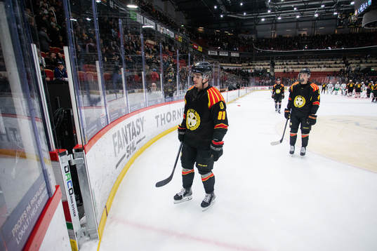 Brynäs Dmytro Timashov deppar