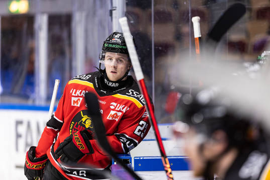 Luleås Jesper Sellgren deppar