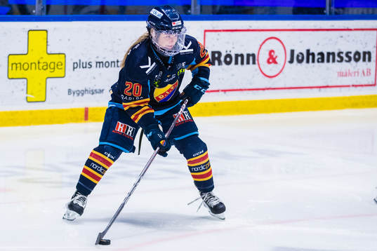 Djurgårdens Brette Pettet