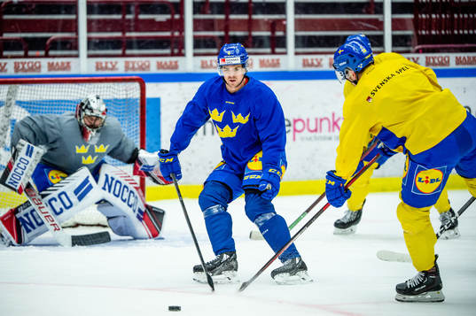 Goalkeeper Jhonas Enroth, Emil Djuse and Anton Lander of