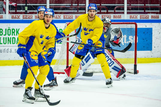 Oscar Lindberg, Lucas Wallmark, Hardy Häman Aktell and