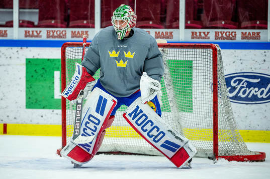 Goalkeeper Lars Johansson of Sweden at a practice session