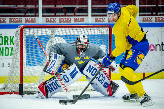 Goalkeeper Jhonas Enroth and Hardy Häman Aktell of Sweden