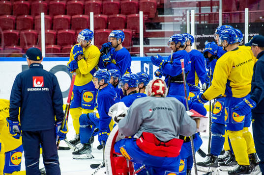 The players of Sweden at a practice session