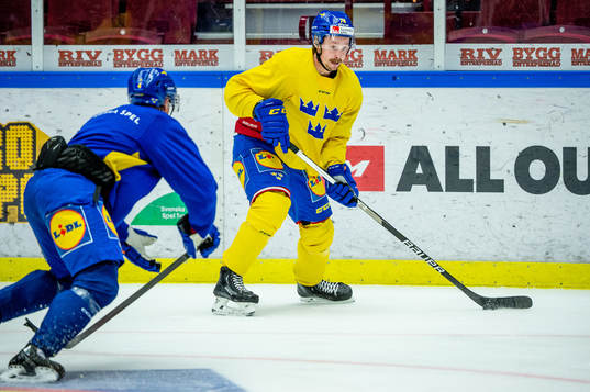 Emil Djuse and Jonathan Dahlén of Sweden at a practice
