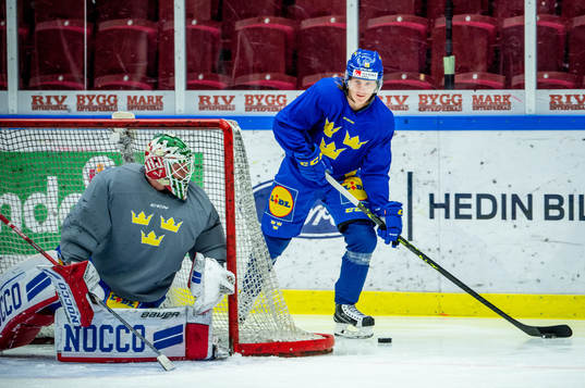 Goalkeeper Lars Johansson and Marcus Sörensen of Sweden at