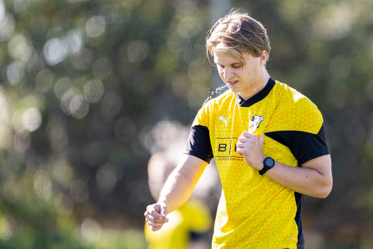 William Nilsson