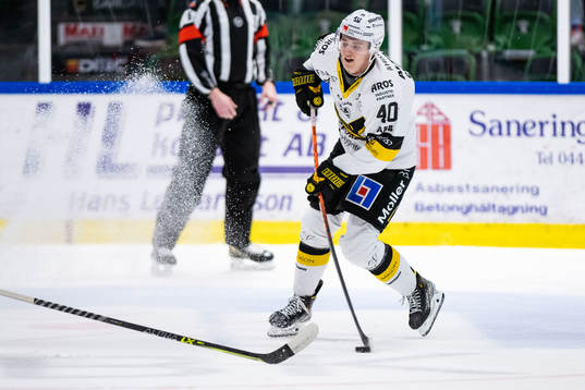 Västerås Isak Skedung