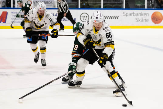 Västerås Alexander Lindelöf
