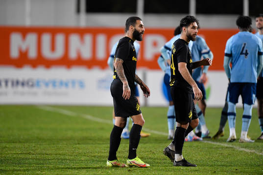 Jimmy Durmaz and Elias Durmaz