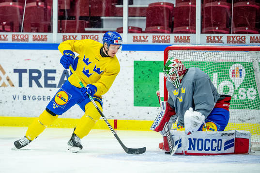 Anton Bengtsson and goalkeeper Lars Johansson of Sweden at