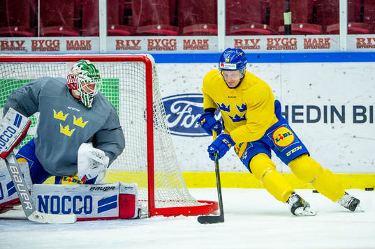 Anton Bengtsson and goalkeeper Lars Johansson of Sweden at