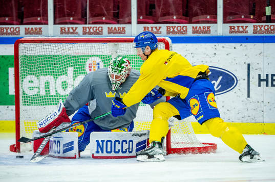 Anton Bengtsson and goalkeeper Lars Johansson of Sweden at