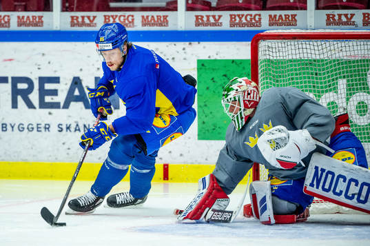 Jacob de la Rose and goalkeeper Lars Johansson of Sweden at