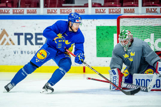 Jacob de la Rose and goalkeeper Lars Johansson of Sweden at
