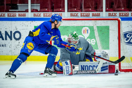 Jacob de la Rose and goalkeeper Lars Johansson of Sweden at