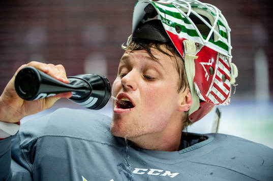 Goalkeeper Lars Johansson of Sweden at a practice session
