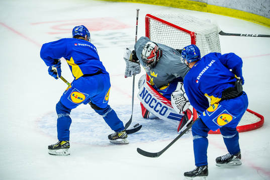 Jonathan Pudas, goalkeeper Jhonas Enroth and Emil Djuse of