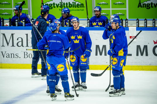 The players of Sweden at a practice session